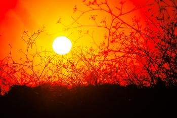 Rote Orange Mittelmeer  