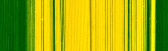 DAL0372