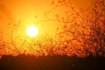 Orange Mittelmeer  